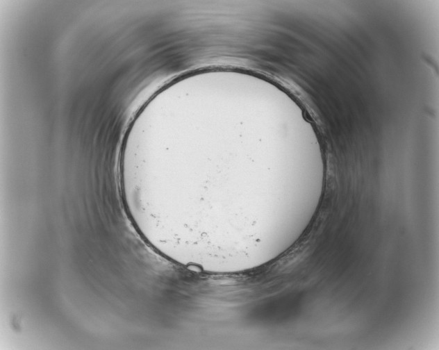 X0000102471199200808291557
