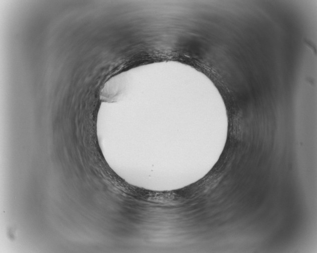 X0000102471201200808291556
