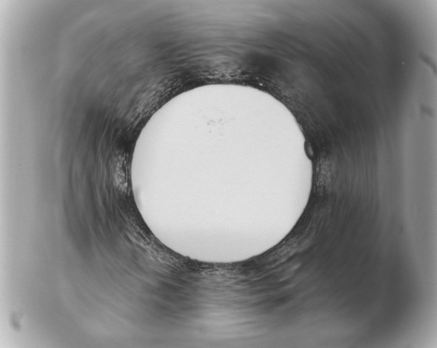 X0000102471202200808291556