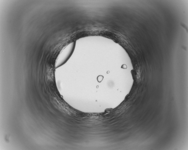 X0000102471204200808291556