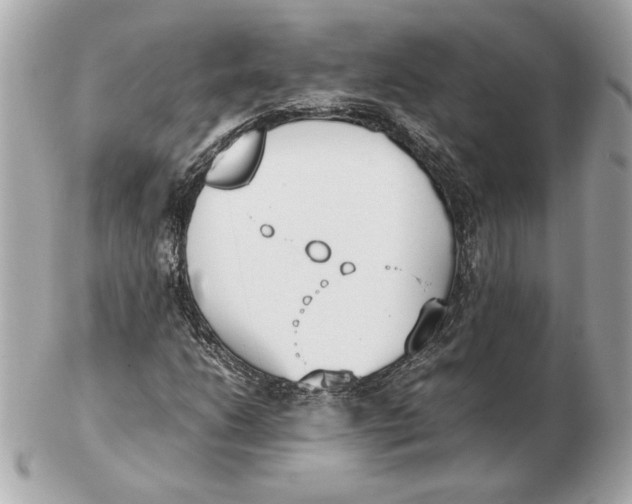 X0000102471206200808291556
