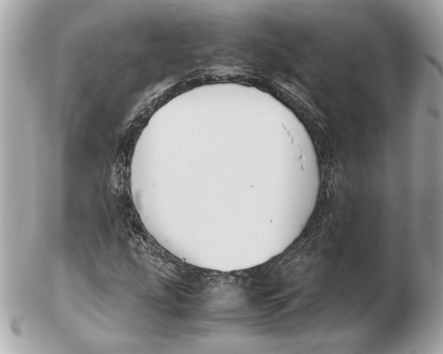 X0000102471207200808291556