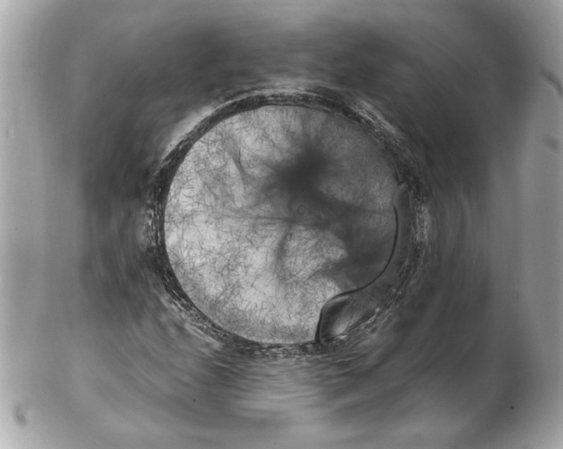X0000102471208200808291556