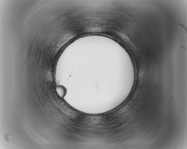 X0000102471209200808291556