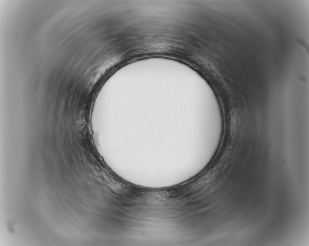 X0000102471210200808291556