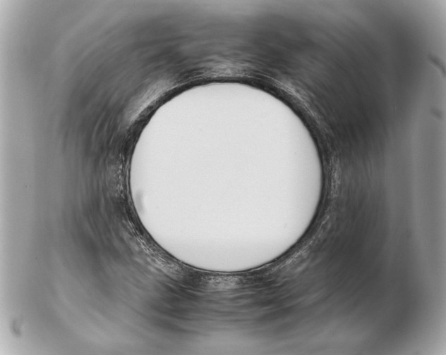 X0000102471211200808291556