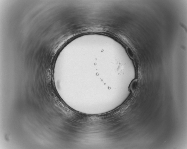 X0000102471212200808291556