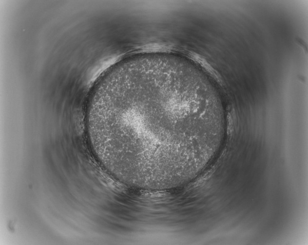 X0000102471213200808291556