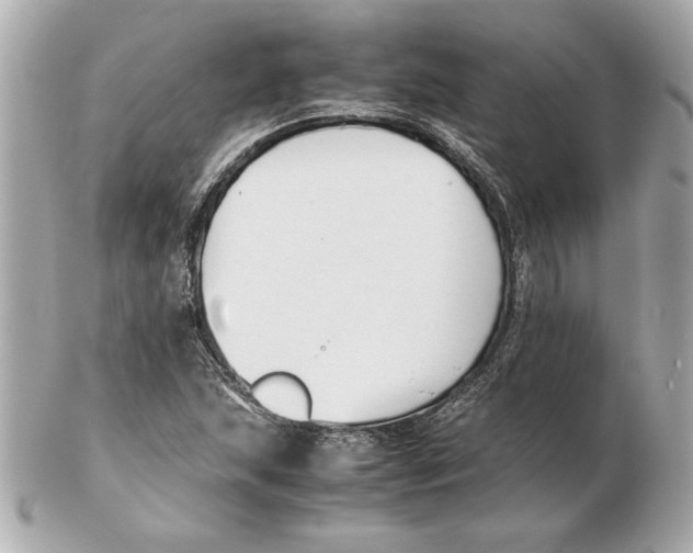 X0000102471215200808291556