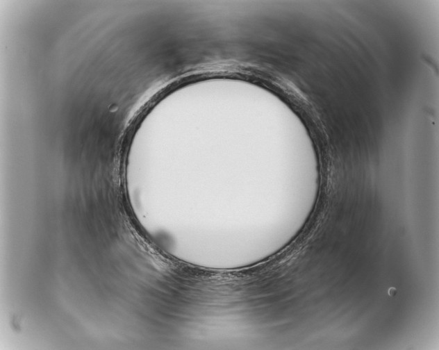 X0000102471216200808291556
