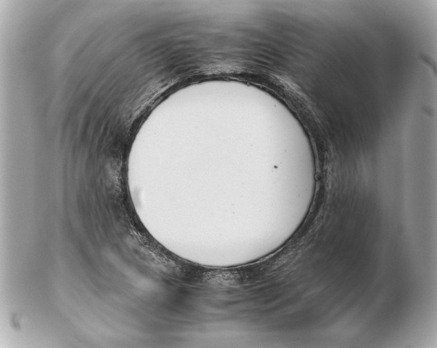 X0000102471217200808291557