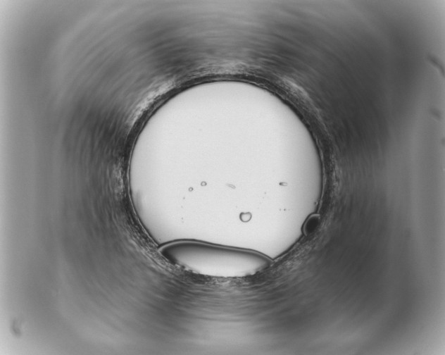 X0000102471218200808291557