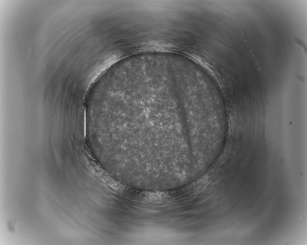 X0000102471219200808291557