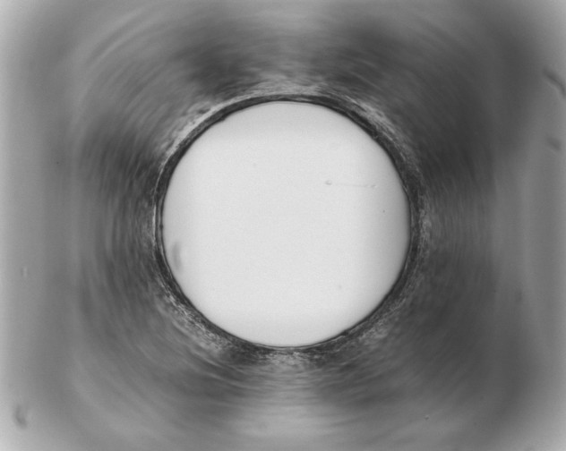 X0000102471220200808291557