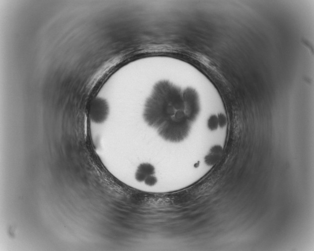 X0000102471221200808291557