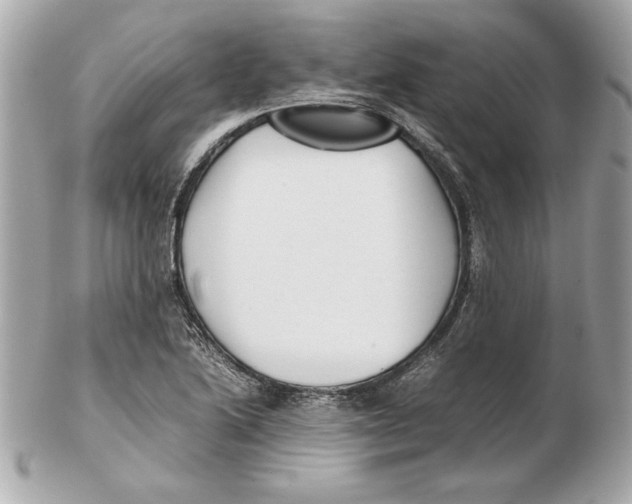 X0000102471222200808291557