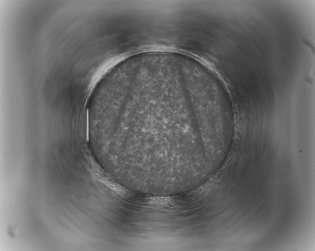 X0000102471223200808291557