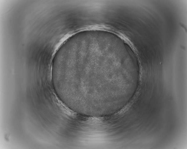 X0000102471224200808291557
