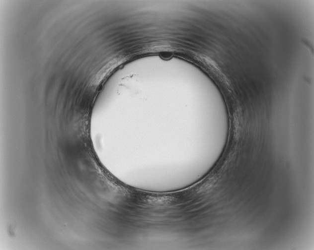 X0000102471225200808291557