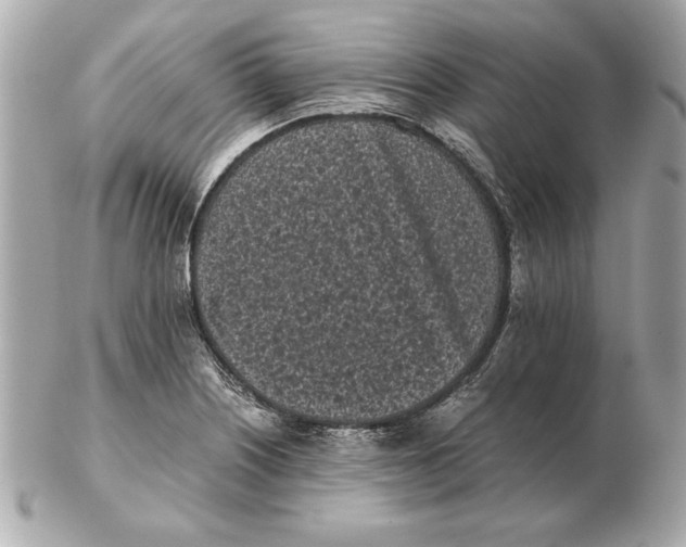 X0000102471226200808291557