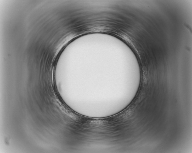 X0000102471227200808291557