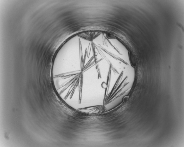 X0000102471228200808291557