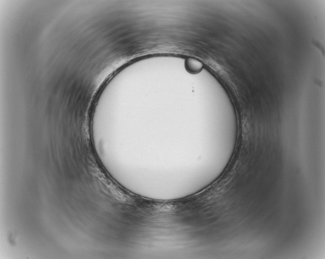 X0000102471230200808291557