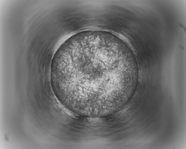 X0000102471231200808291557