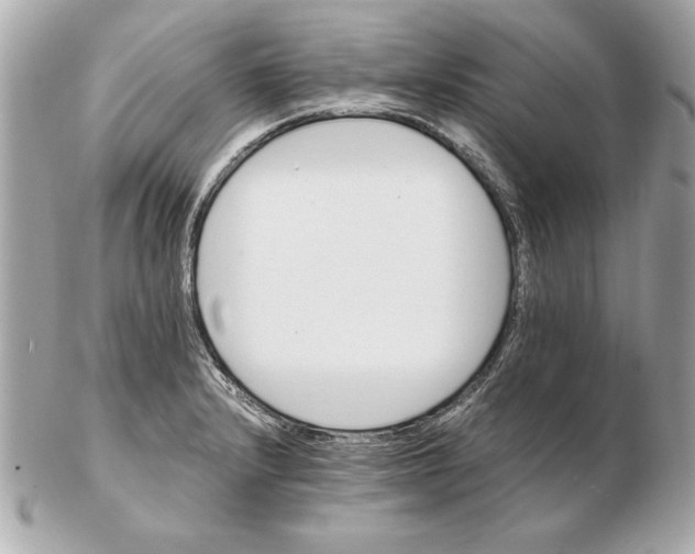 X0000102471232200808291557
