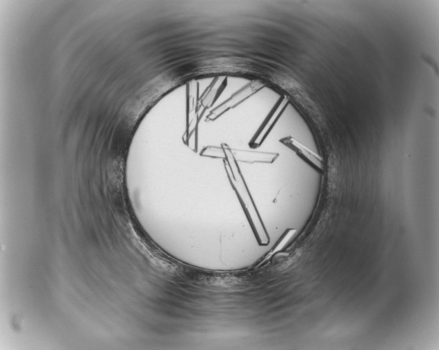 X0000102471233200808291557