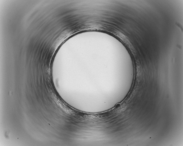 X0000102471234200808291557