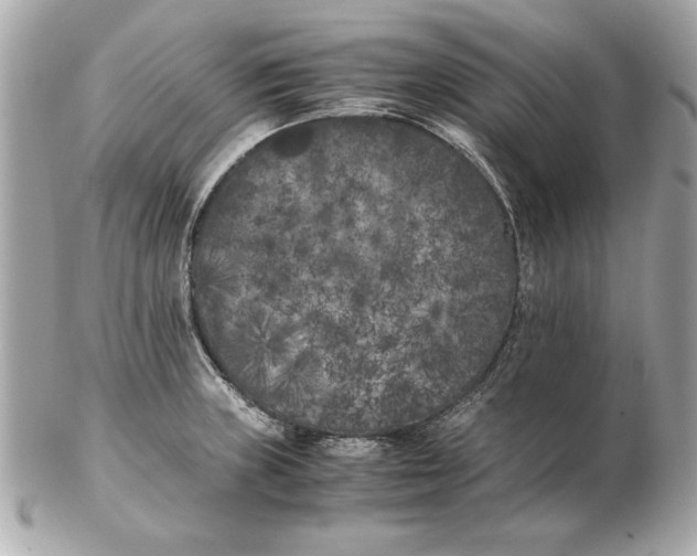 X0000102471235200808291557