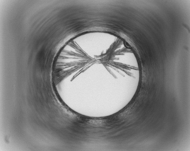 X0000102471237200808291557