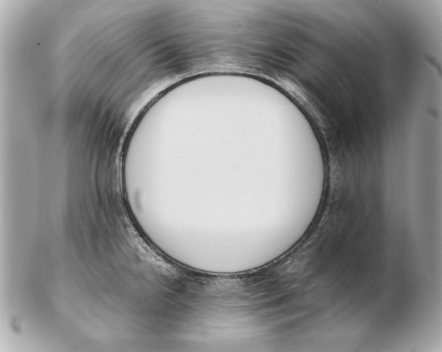 X0000102471238200808291557
