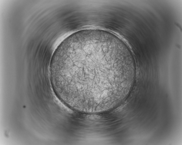 X0000102471239200808291557