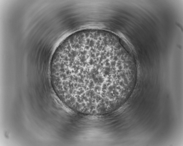 X0000102471240200808291557