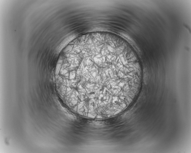 X0000102471241200808291557