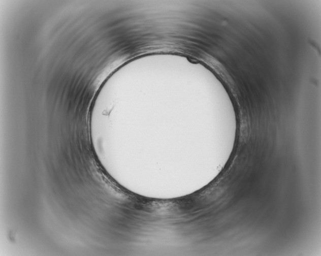 X0000102471242200808291557