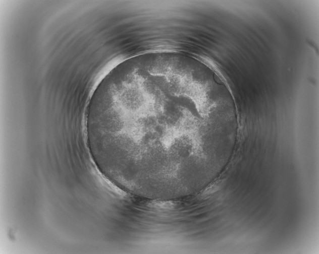 X0000102471243200808291557