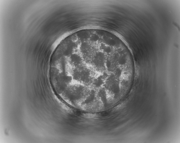 X0000102471245200808291557