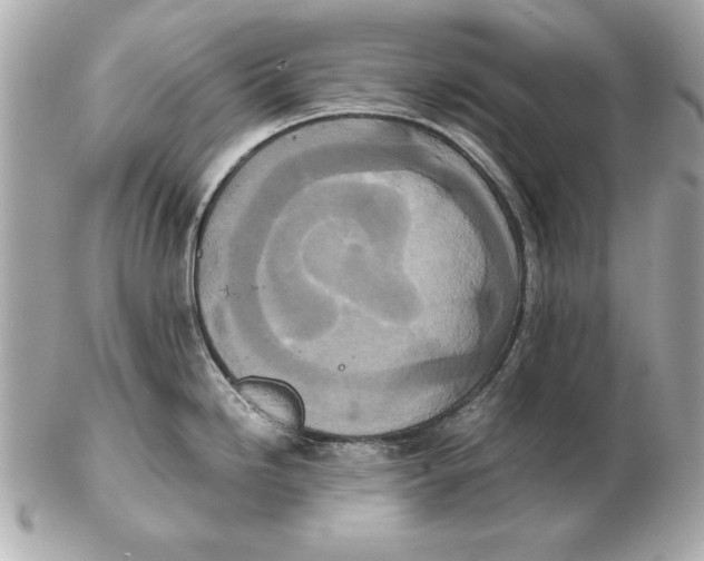 X0000102471246200808291557