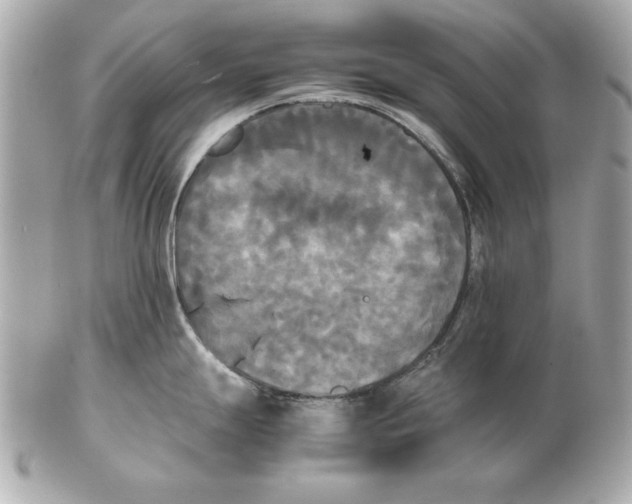 X0000102471247200808291557
