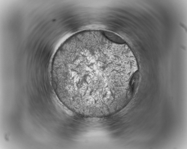 X0000102471248200808291557
