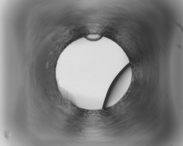 X0000102471249200808291556