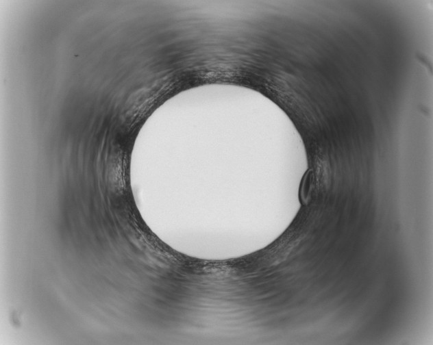 X0000102471250200808291556