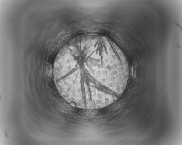X0000102471251200808291556