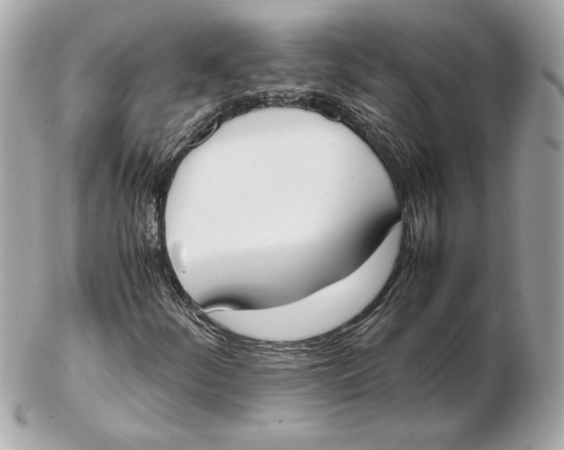 X0000102471252200808291556