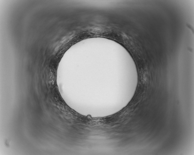 X0000102471253200808291556