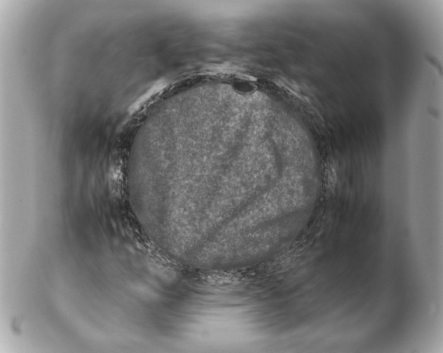X0000102471254200808291556