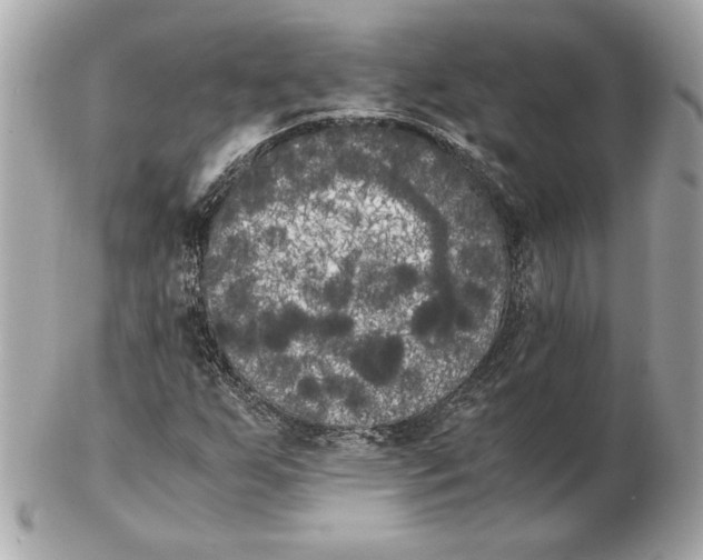 X0000102471255200808291556
